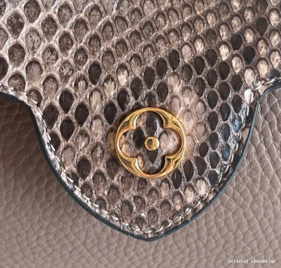 Official oldcobbler LOUIS VUITTON CAPUCINES MINI 0802
